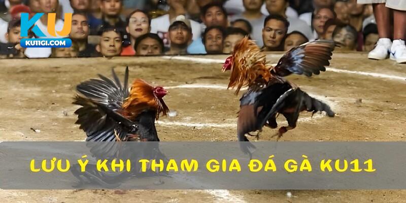 Các lưu ý đảm bảo an toàn, hiệu quả khi tham gia đá gà Ku11